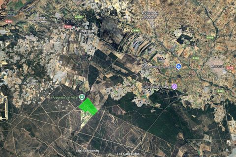 Finca i Almonte, Huelva, Almonte - € 1.249.999 | Ref: 1067 - foto 19